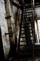 /album/arecheologia/img-3989-1-1-jpg/
