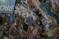 /album/arecheologia/img-0874-jpg/
