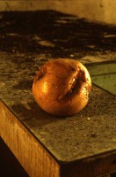 /album/arecheologia/archeo-jpg/