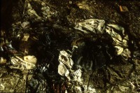 /album/arecheologia/archeo-3-jpg/