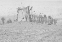 /album/natura-texture/modolo-bianco-nero-jpg/