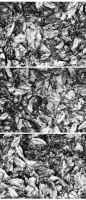 /album/paesaggi-in-tre-d/grigetto-g-jpg/